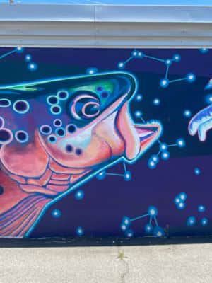Salt-Lake-City_Utopia-Space-Trout-Wildlife-Murals_Utah-Wildlife-Walls-Chris-Peterson