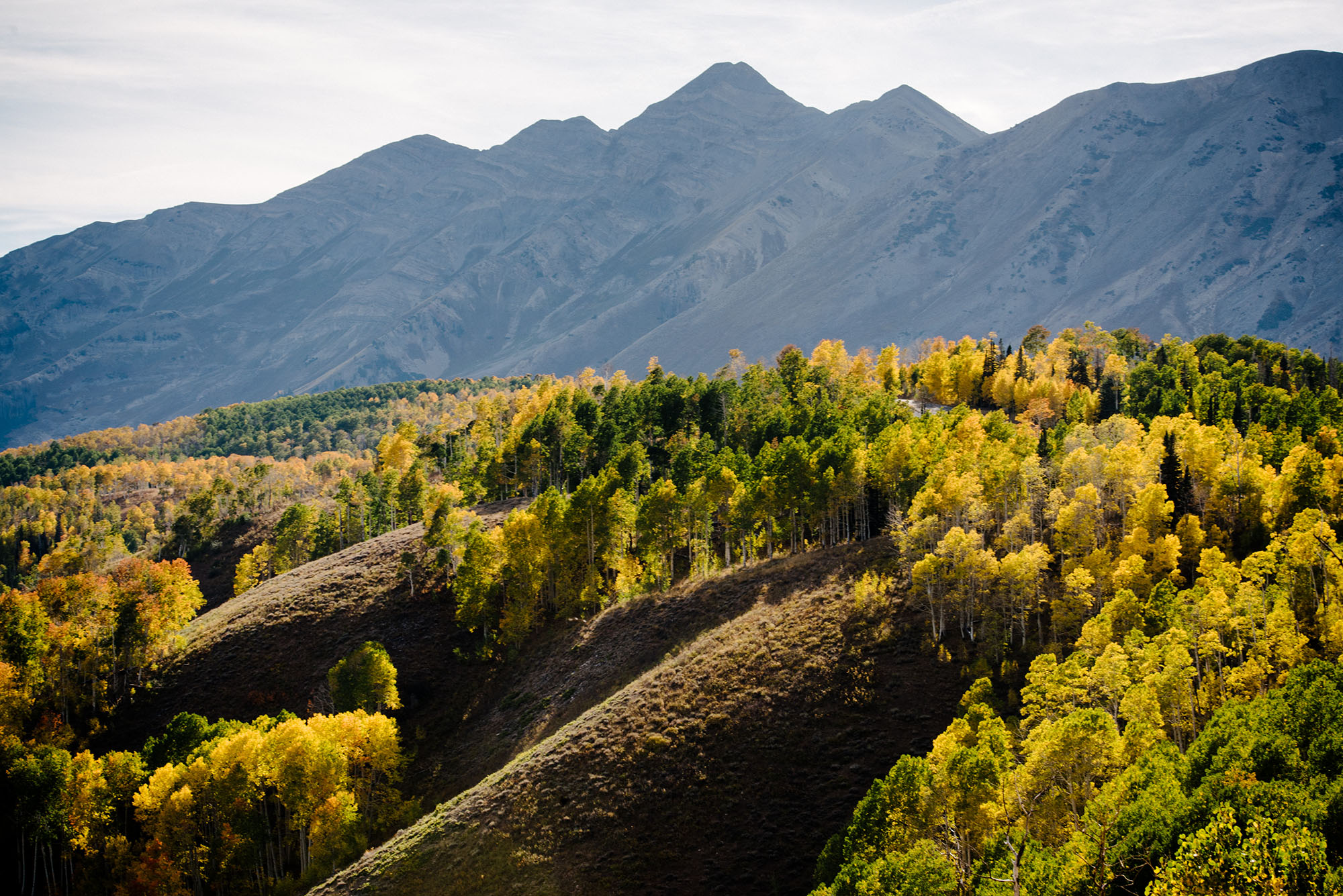 Nebo Scenic Byway