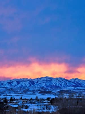 Wasatch-Back_Kamas_Woodland_Diamond-Austen_2021