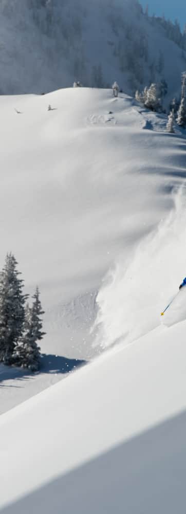 web2000_alta_tylerp_2013_1213