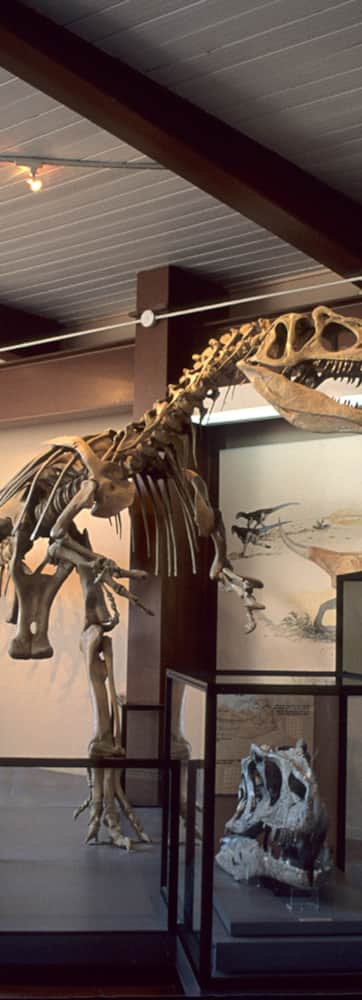 web2000_dinosaurnationalmonument_vc