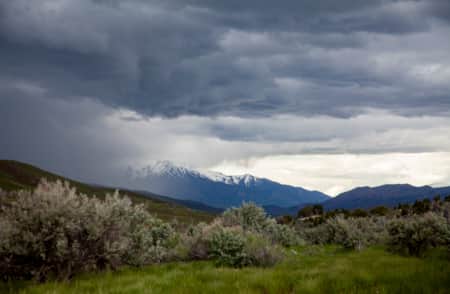 Gleaning a Small Town's Harvest in Spring City, Utah | Visit Utah