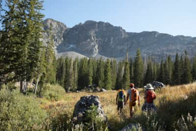 Alta_Albion-Basin_Ski-Resorts_Summer_LIttle-Cottonwood_Burr-Andrew_2020