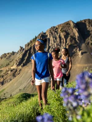 Snowbird_Summer_Family-Hiking_Dash-Jay_2020