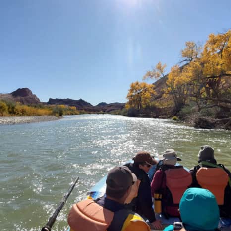 Bluff Dwellings Resort offers several outdoor tours to fit any adventurer's time, including paddle boarding, rafting, rock climbing and canyoneering.