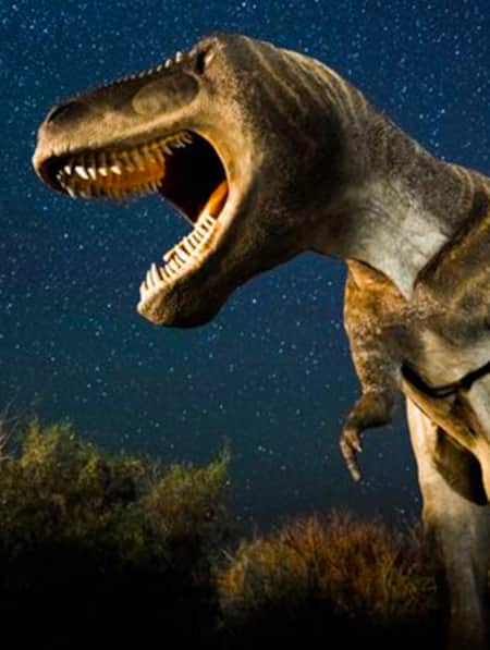 Tyrannosaurus Rex – Moab Giants