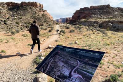 Mill Canyon Dinosaur Bone Trail 