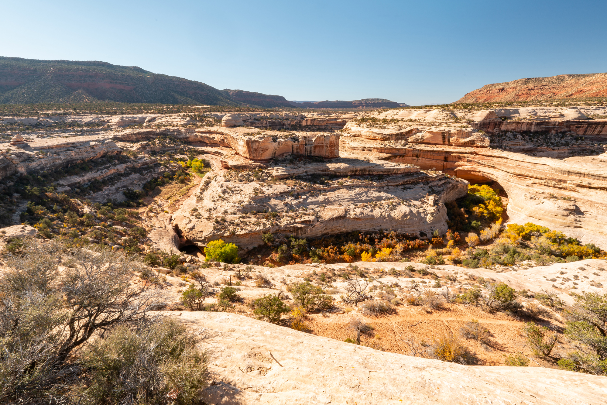 Natural Bridges National Monument