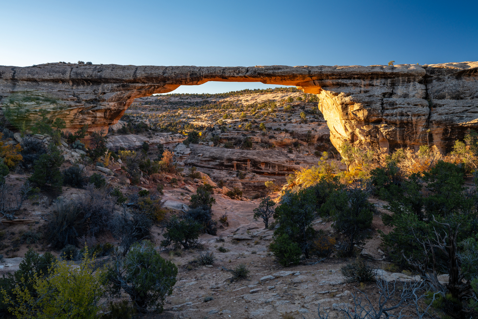 Natural Bridges National Monument