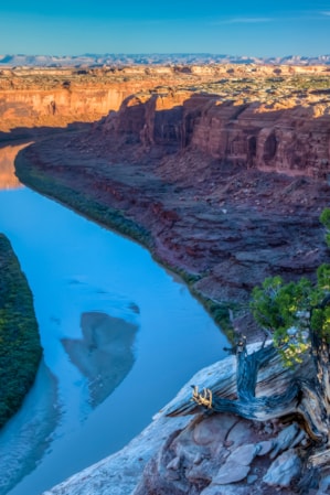 3-best-rafting-trips-on-the-colorado-river-01-bob-wick