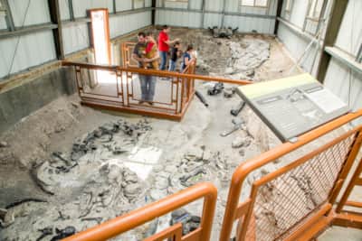 The Cleveland-Lloyd Dinosaur Quarry of Jurassic National Monument is a great opportunity to learn about prehistoric animals and see a working paleontologist dig.
