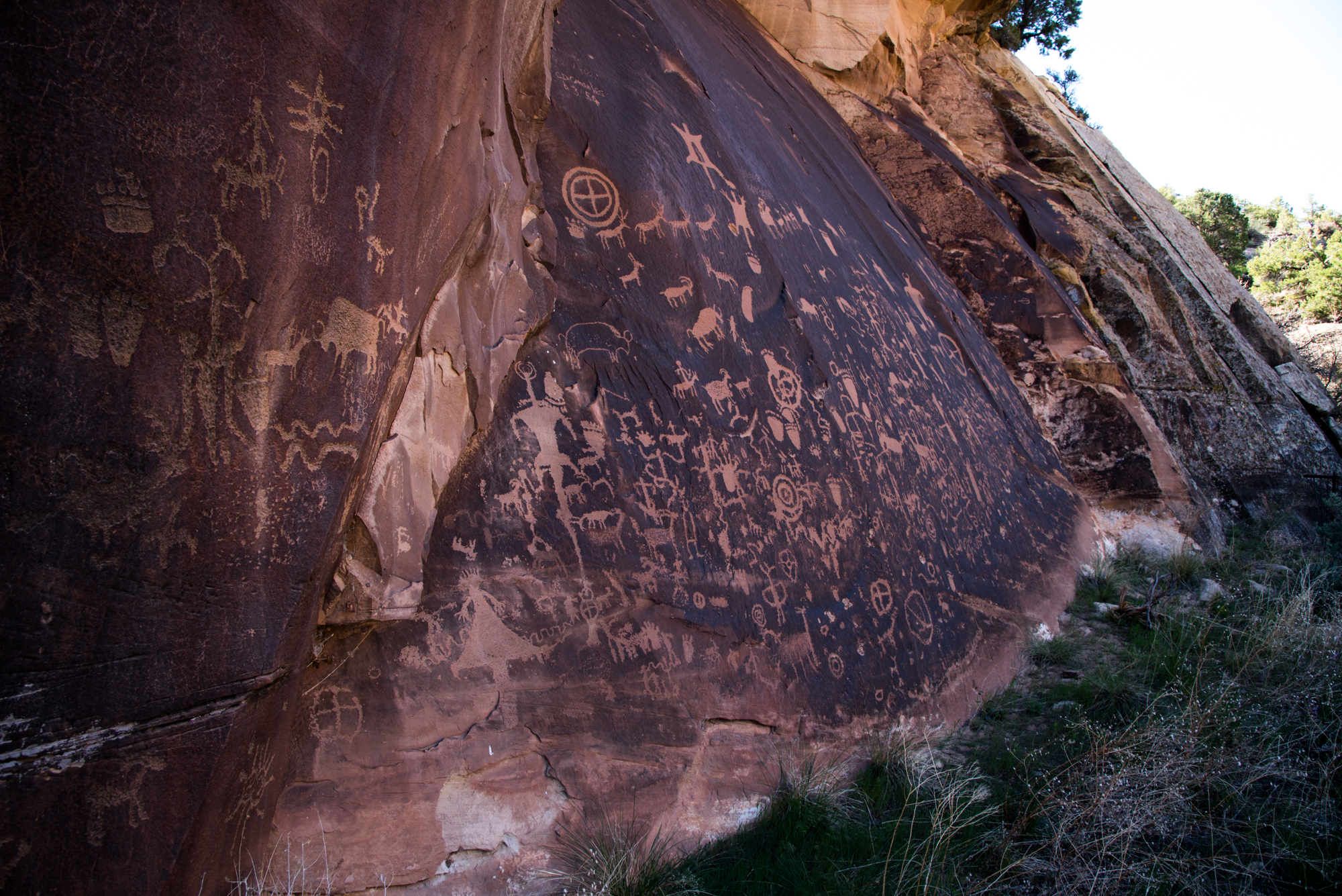 web2000_newspaperrock-3115