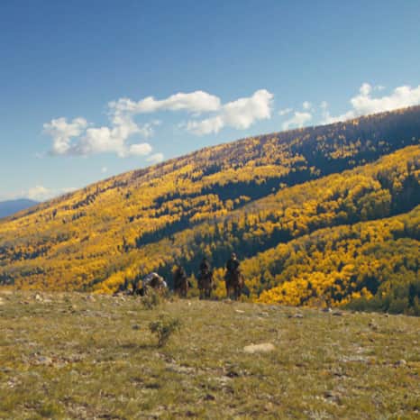 La Sal Mountains, San Juan County