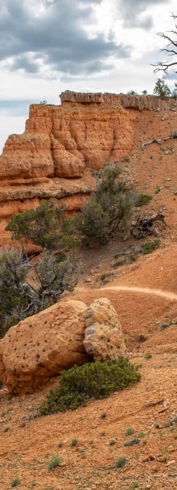 Red-Canyon_Highway-12_HWY-12_Dash-Jay_2019-2