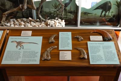The Visitor Center has exhibits detailing the park’s history, plus information on interpretive programming, road conditions and more.
