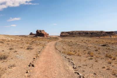 The Willow Springs Dinosaur Tracks are managed by the BLM, but can be accessed via Utahraptor State Park.