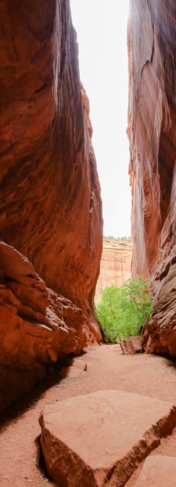 Singing Canyon