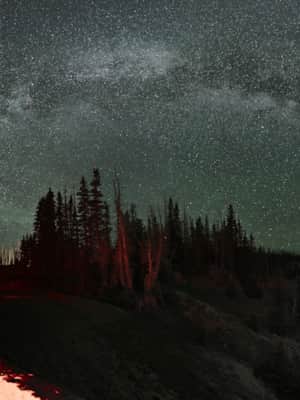Cedar-Breaks_Milky-Way_IDA-Dark-Sky-Contest_BeltrandelRio-Sharon
