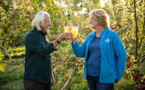 It's Ann Torrence's and Robert Marc's love for the process, from growing to fermentation and bottling, that makes each year's yield such an unexpected delight.