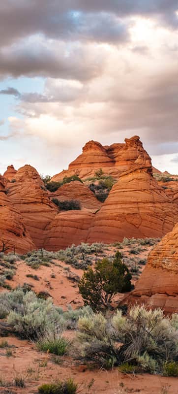 Paria Canyon-Vermilion Cliffs Wilderness