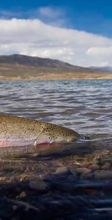 header_utah_otter_creek_state_park-ice_off_otter_creek-02-dwr