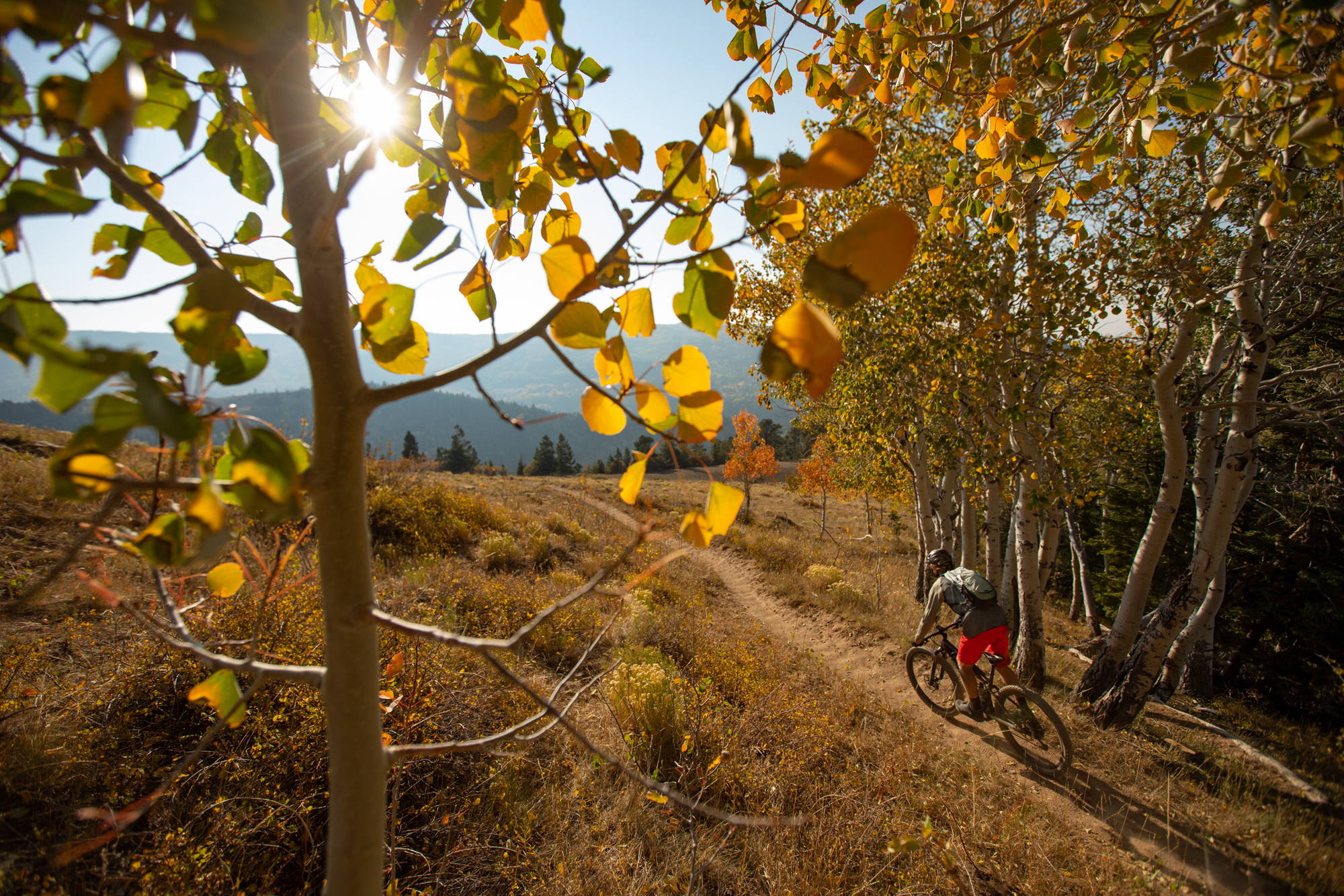 Biking the Aquarius Trail System