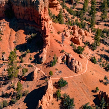 road trip zion national park