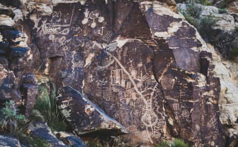 There are an impressive number of panels covered in petroglyphs.