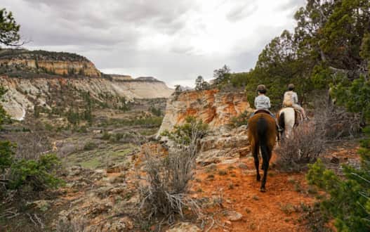 Zion Mountain Ranch is just three minutes from Zion National Park’s east entrance, and offers easy access to the park and surrounding outdoor destinations.