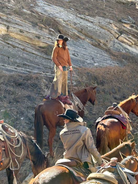 Tending to horses is the ranch's primary function. These majestic animals are trained carefully to ensure the safety of guests and the livestock they are driving.