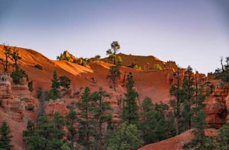 Red rock and forests of Dixie National Forest.