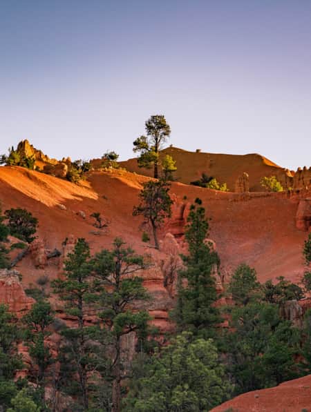 Red rock and forests of Dixie National Forest.
