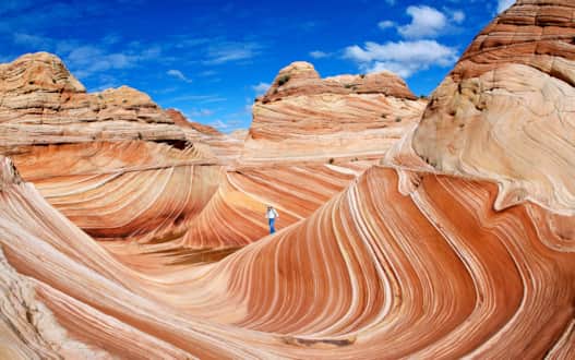 The Wave