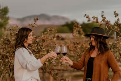 Thanks to the geology of the Dammeron Valley, especially the volcanic remains in the soil, Bold and Delaney's vineyards can boast a much sought after minerality in their wines.