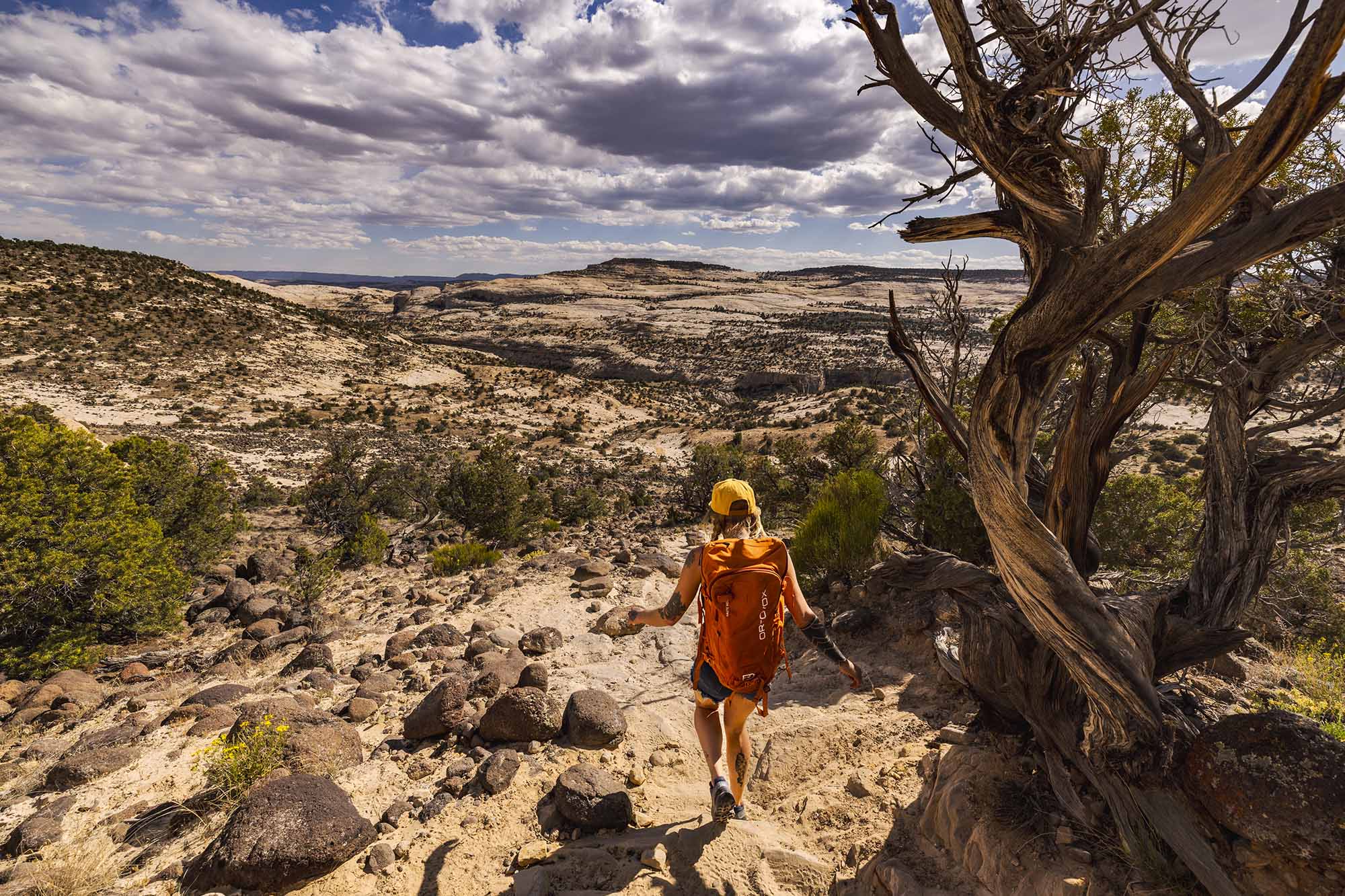Grand Staircase-Escalante National Monument