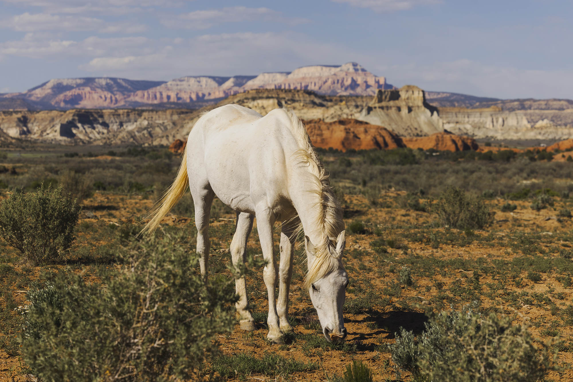Scenic Byway 12