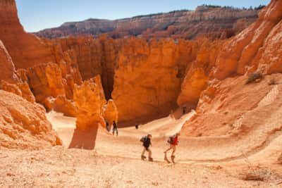 web2000_bryce_hiking-the-navajo-loop-trail-4-bryce-canyon-national-park-matt-morgan