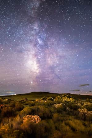 A night sky filled with numerous stars, featuring the Milky Way prominently in the center, above a lush green field.
