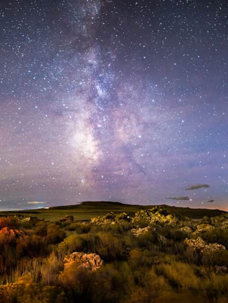 A night sky filled with numerous stars, featuring the Milky Way prominently in the center, above a lush green field.