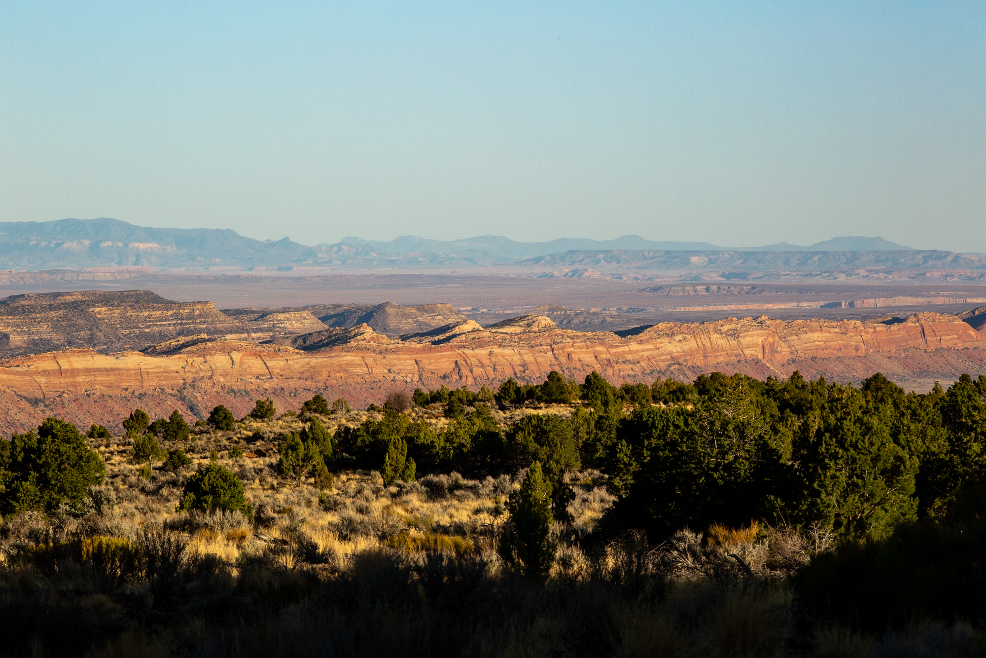 web2000_ssalvas-20180514-thecomb_sanjuancounty_img_8497