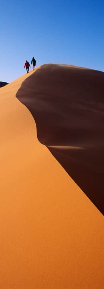 Coral-Pink-Sand-Dunes-State-Park_Kanab_Kay-James_2008