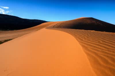 Coral Pink Sand Dunes State Park 