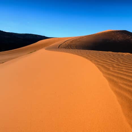 Coral Pink Sand Dunes State Park ("Westworld")