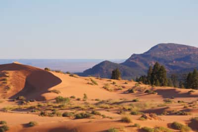 Coral Pink Sand dunes