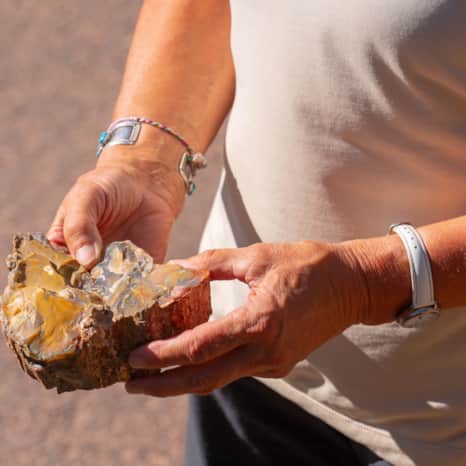 Petrified wood does not have a strict classification system. It is typically identified based on color and mineral composition.
