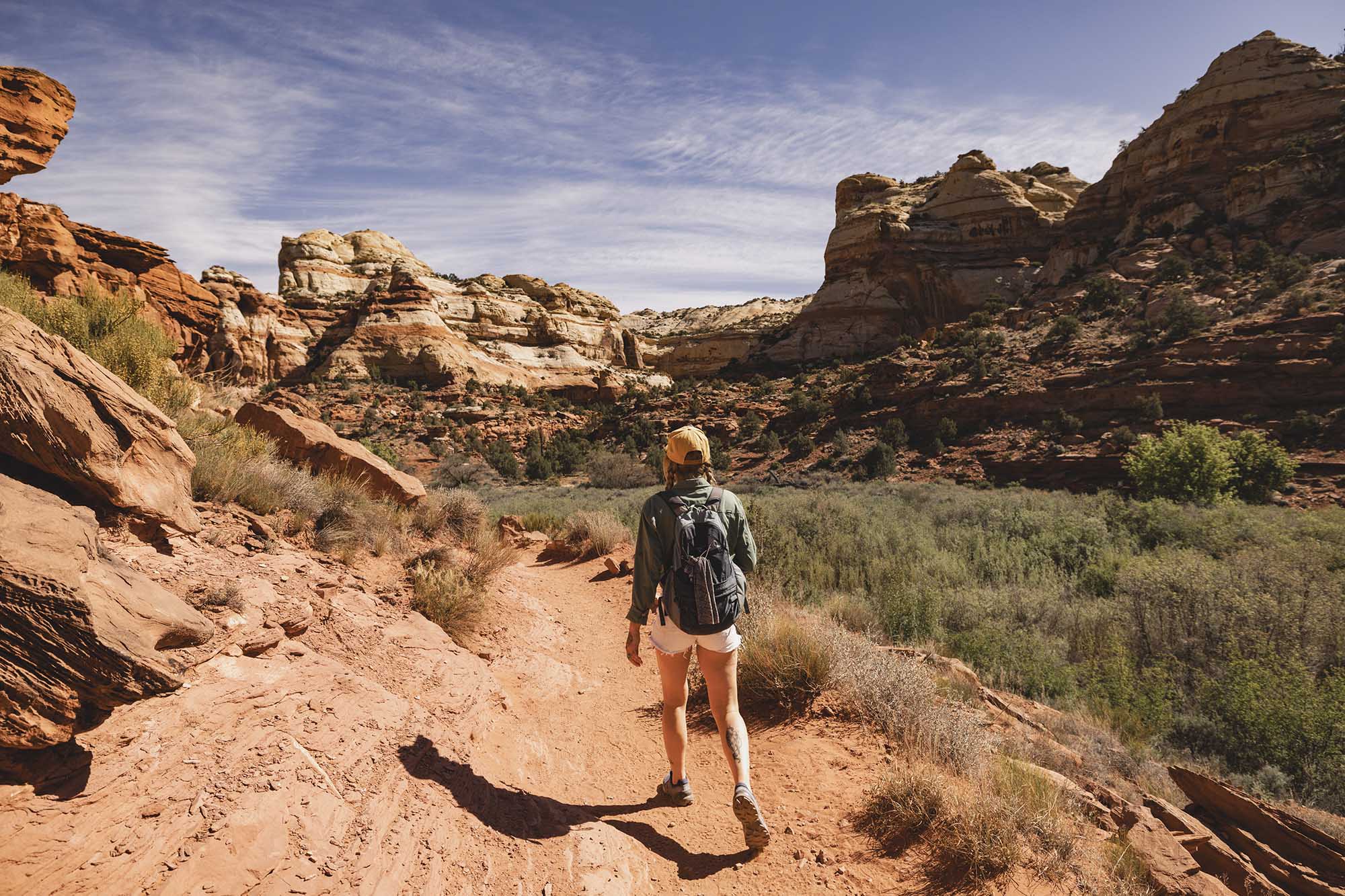 Wanderung zu den Lower Calf Creek Falls.