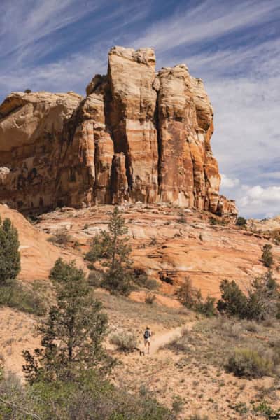 Lower Calf Creek Falls