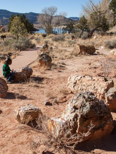 Escalante Petrified Forest State Park