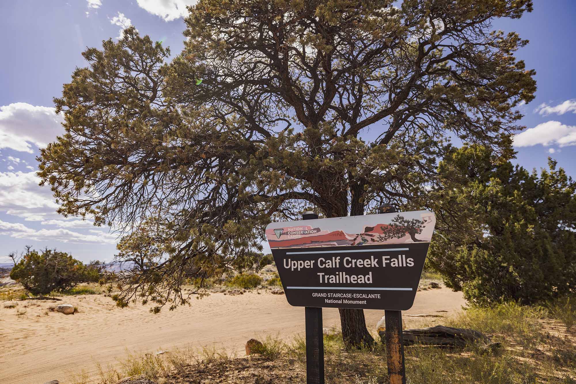 Visitors can find their way along the swath that has been cleared through the trail, and follow the cairns via a steep slickrock friction pitch.