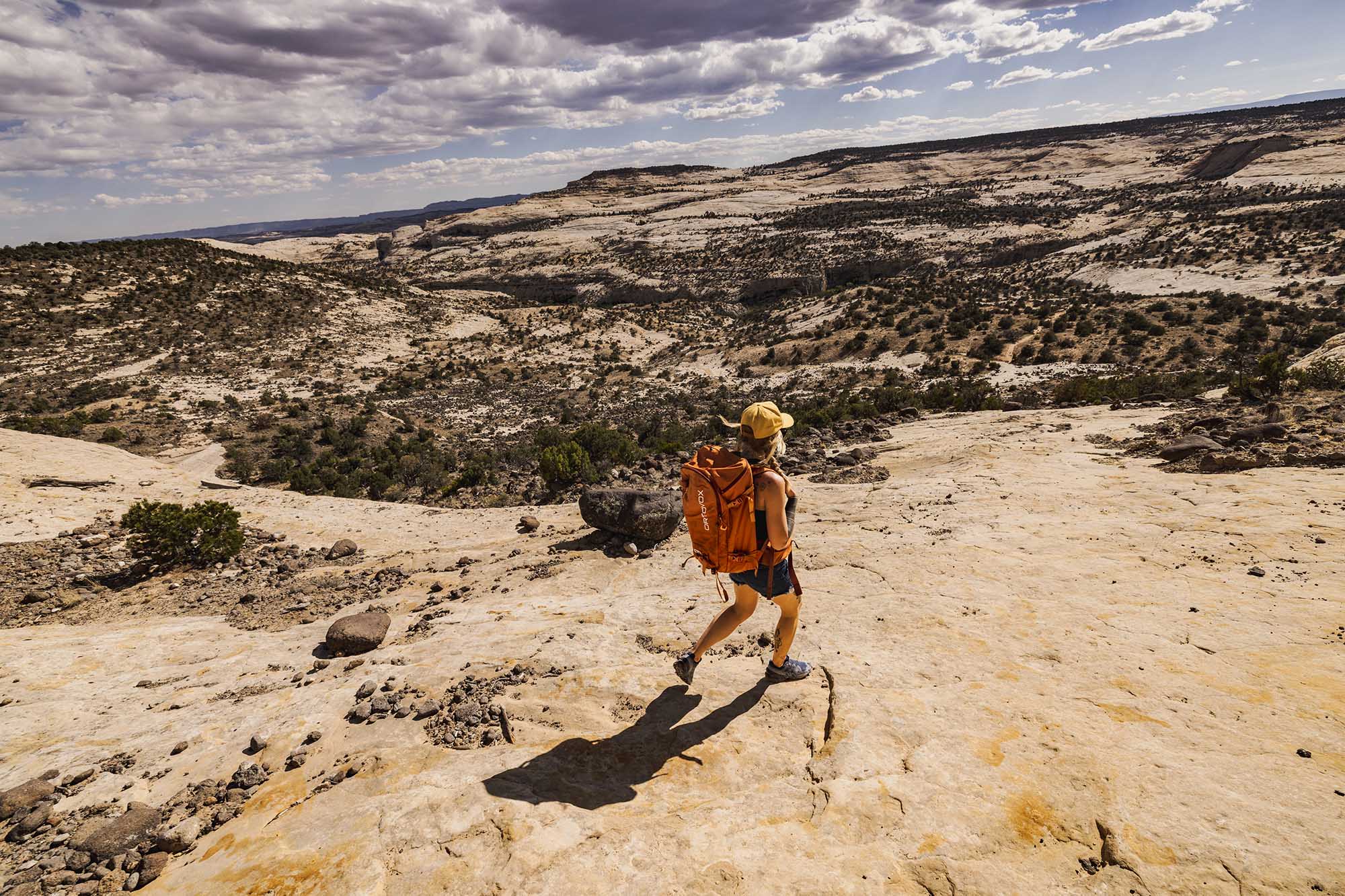 The view stretches from the Pink Cliffs of the Table Cliff Plateau on the western horizon, and far southwest to the Straight Cliffs bounding the Kaiparowits Plateau.